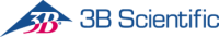 3B